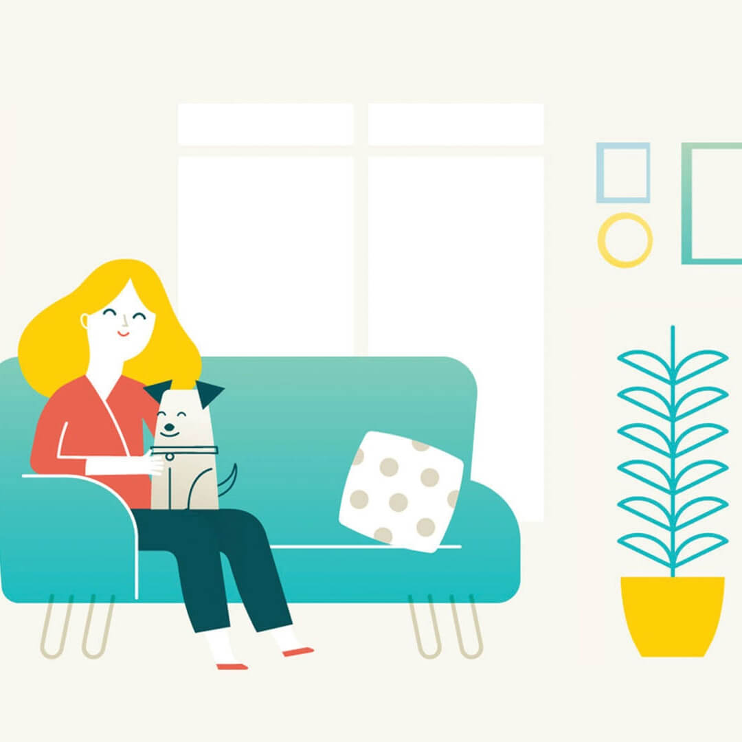 Motion Design and Illustration for DogVacay