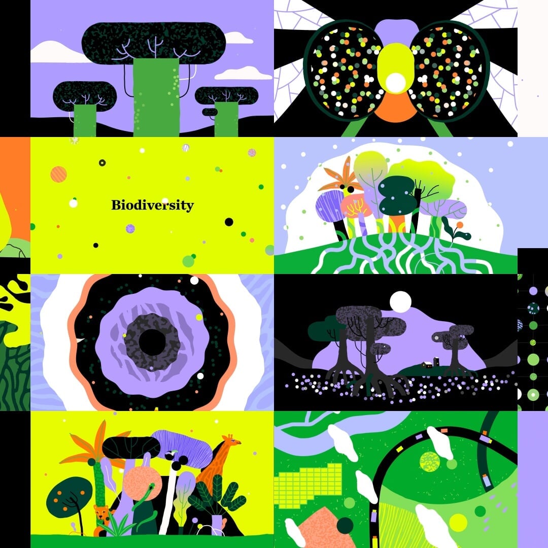 Motion Series for the Nature Conservancy