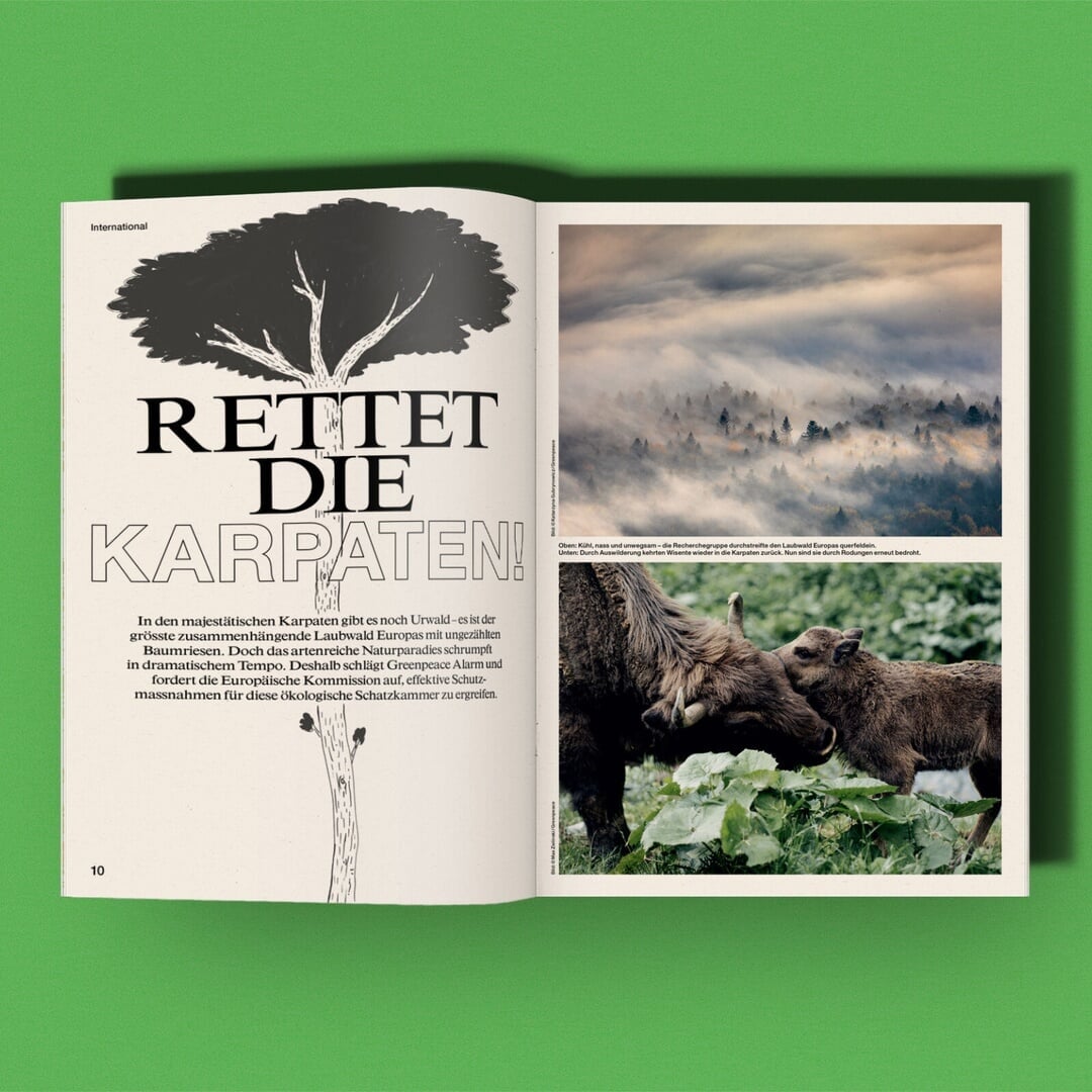 Editorial Redesign for Greenpeace Magazine
