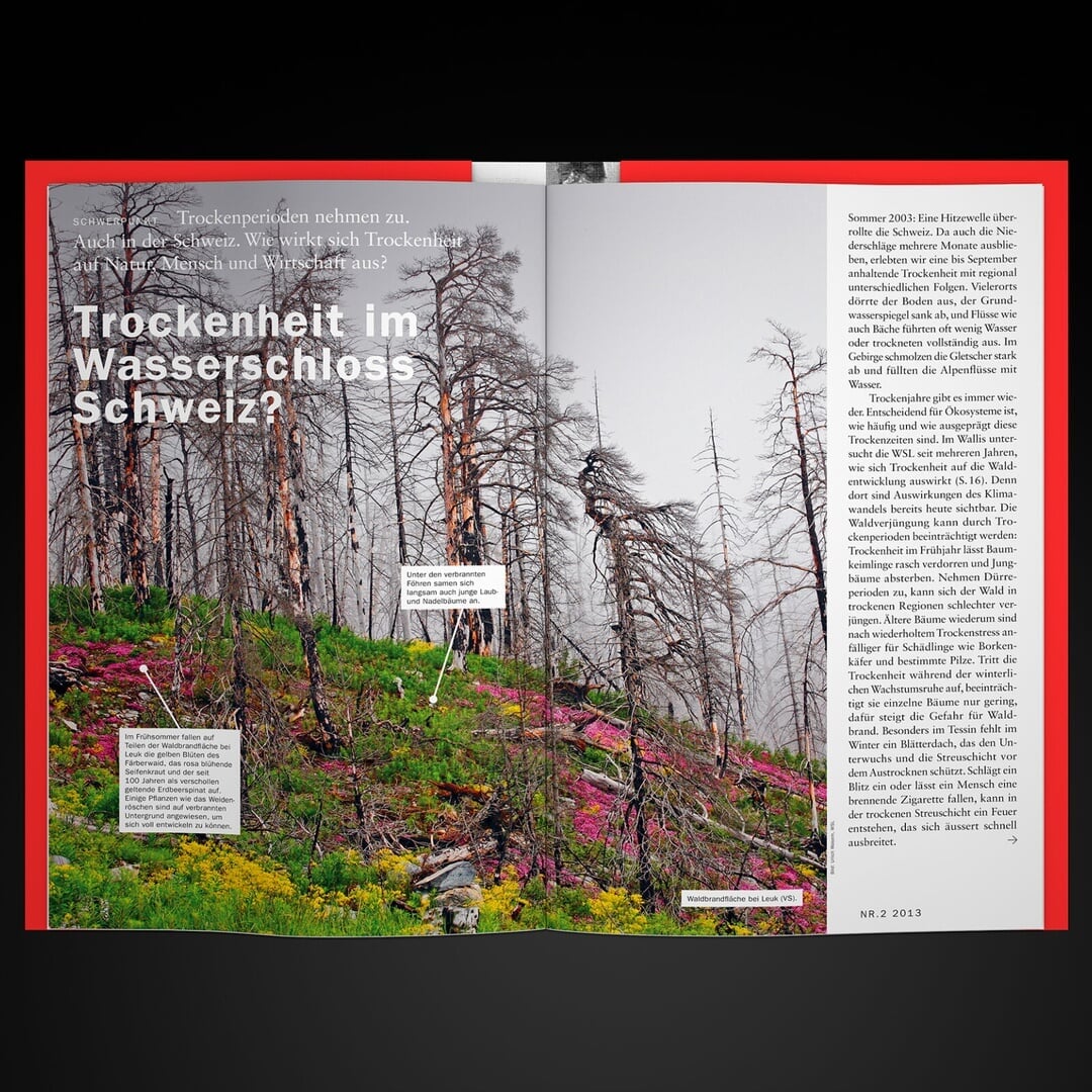 Editorial Design for WSL's Diagonal Magazine