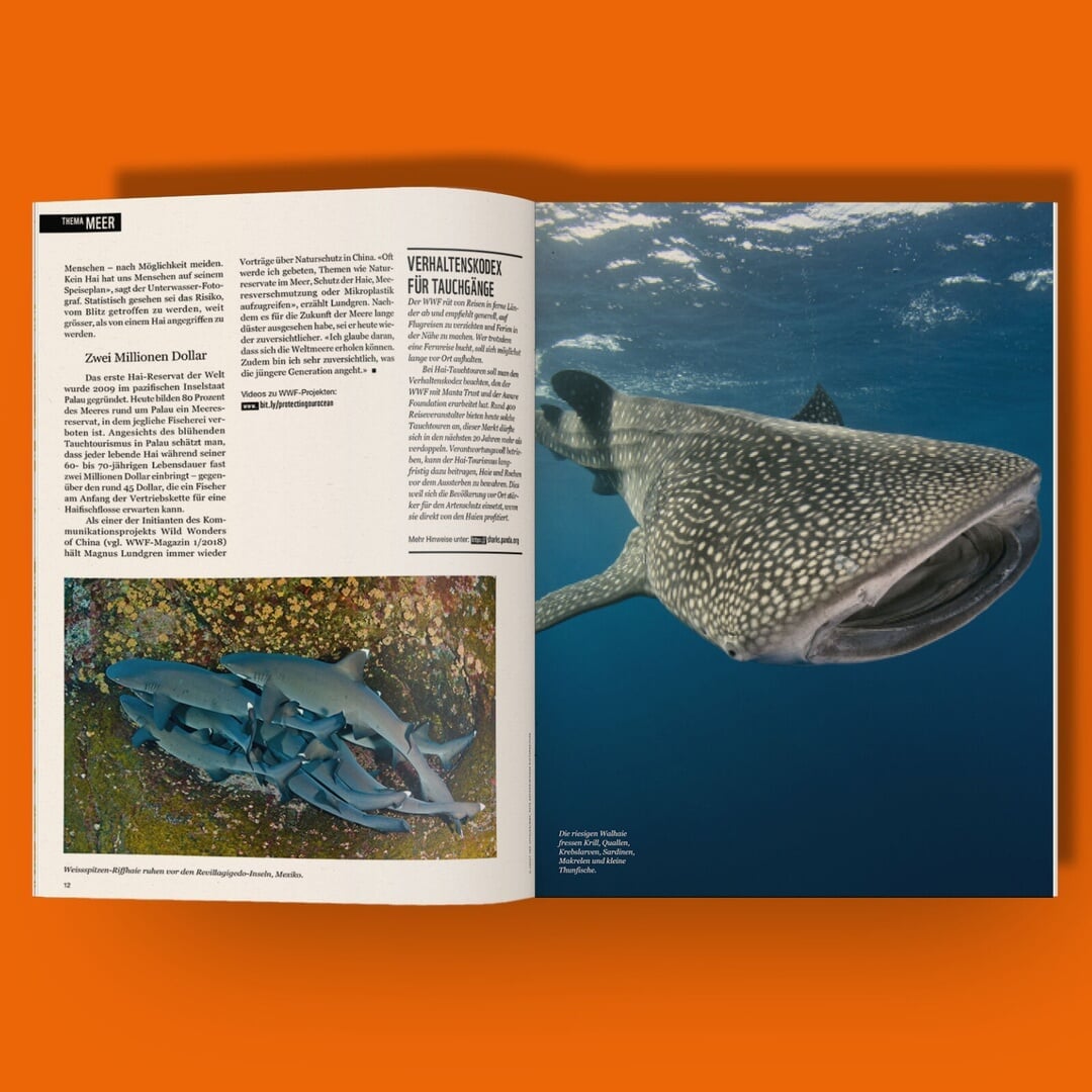 Editorial Design for WWF Member Magazine