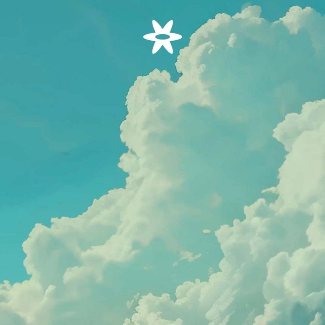 Brand Identity and Platform Design for Pika AI Video Creation Tool