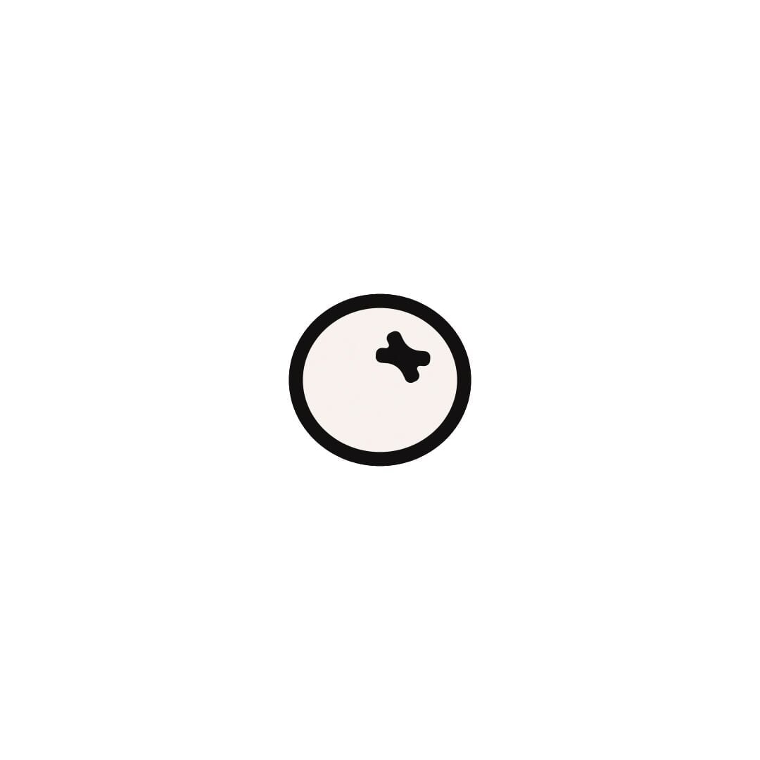 Brand Identity for Creator Platform Berri