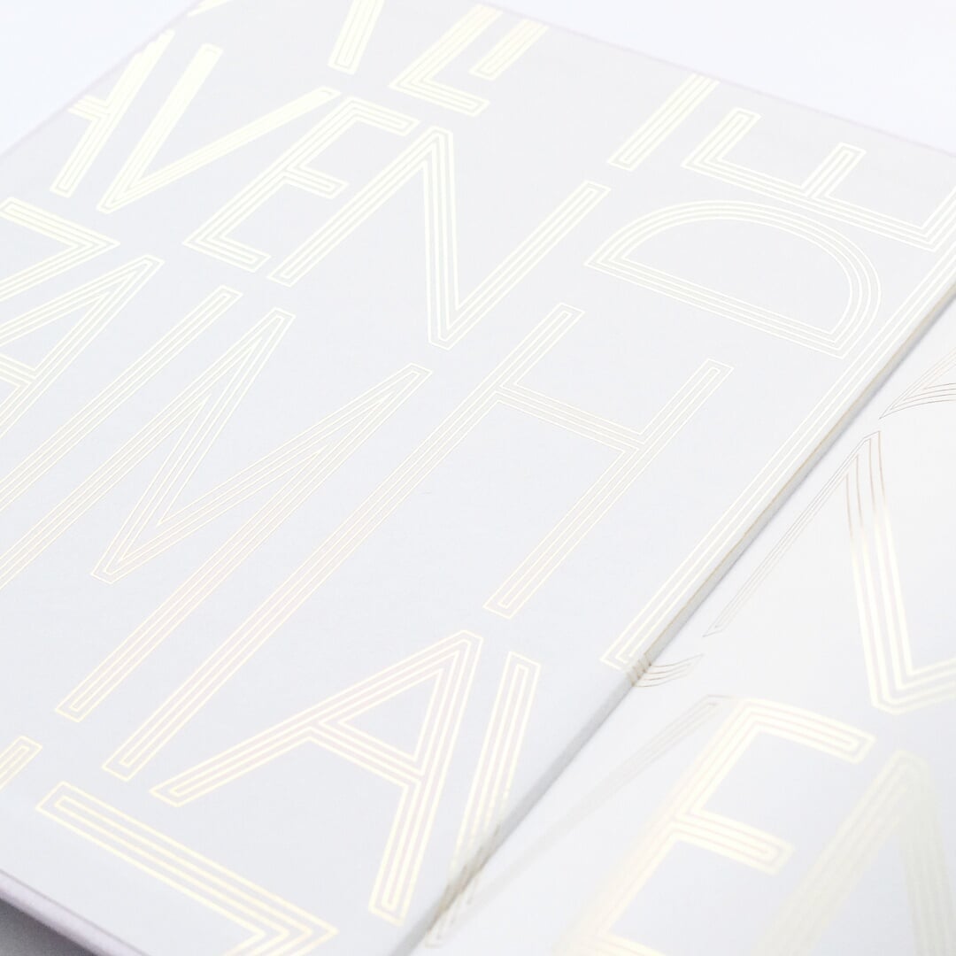 Brand Identity and Campaigns for De Zalmhaven Residential Towers