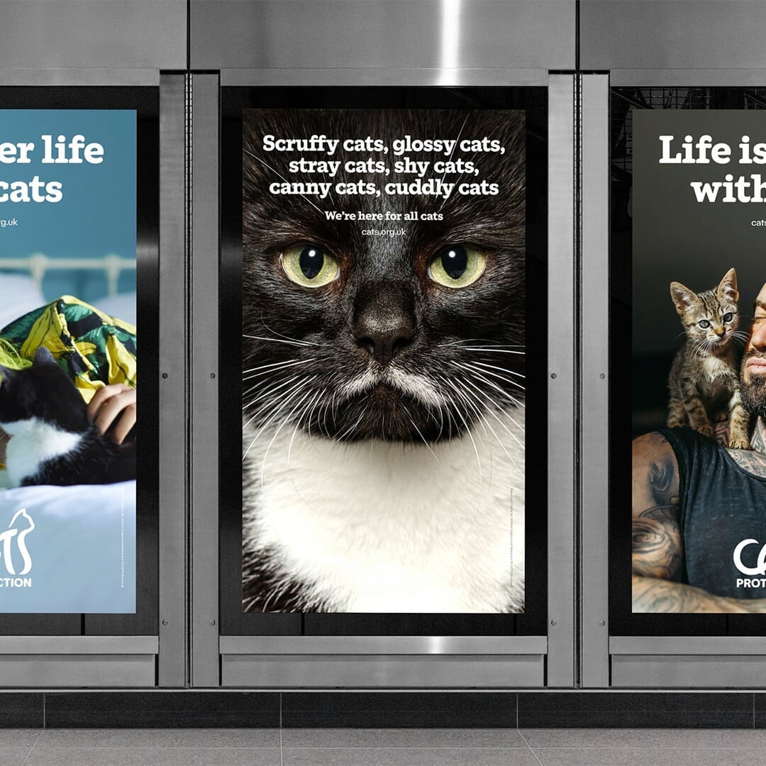 Custom Typeface for Cats Protection
