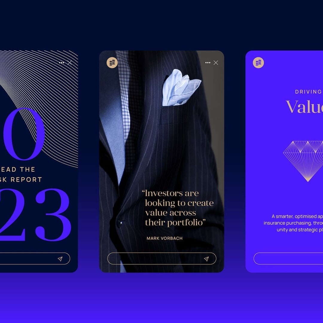 Brand Strategy and Visual Identity for Eldin Risk