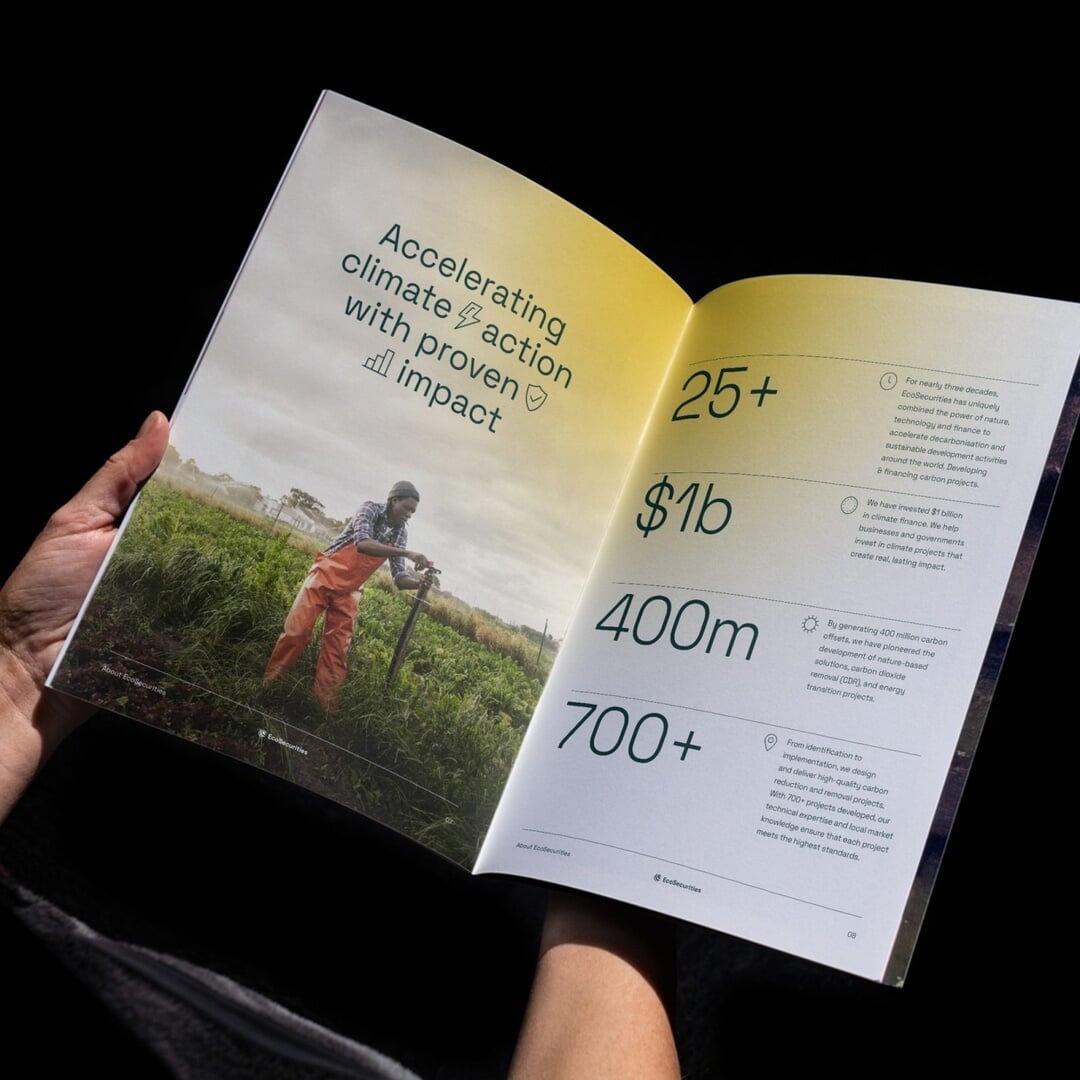 Brand Identity for a Global Carbon Finance Company