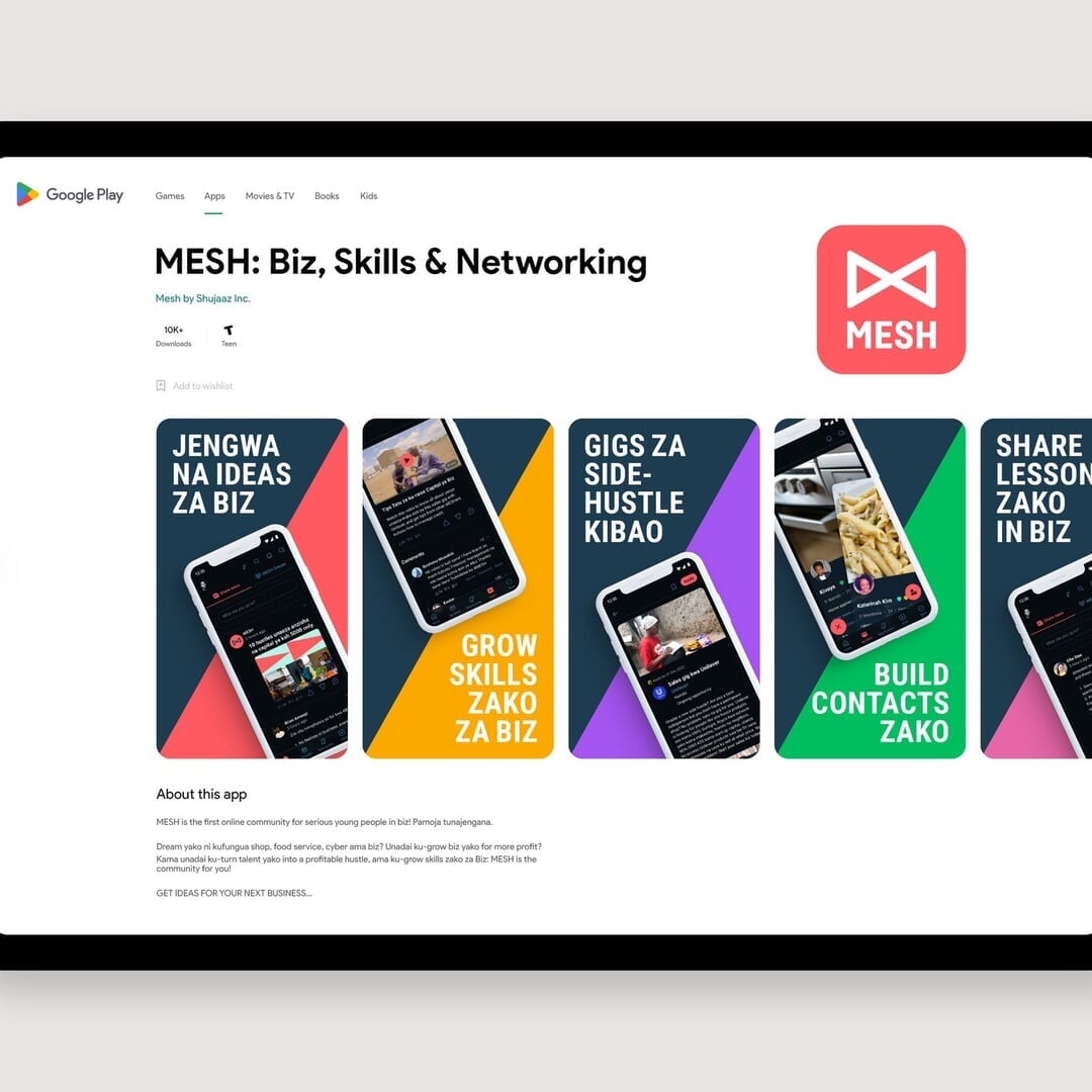 Brand Identity for Mesh Life