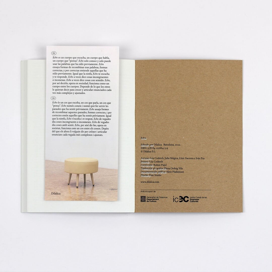 Publication Design for Echo Installation