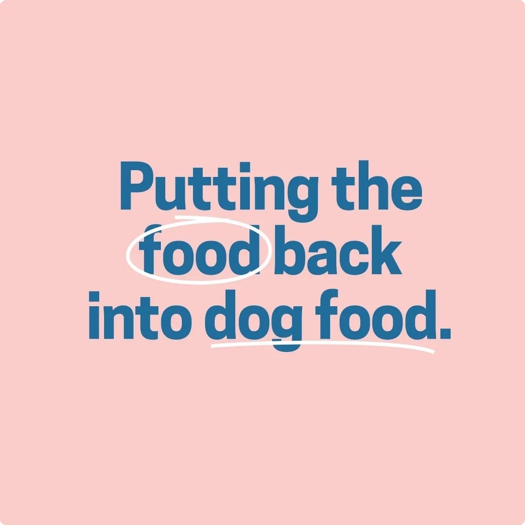 Rebrand for a Dog Food Meal Delivery Service