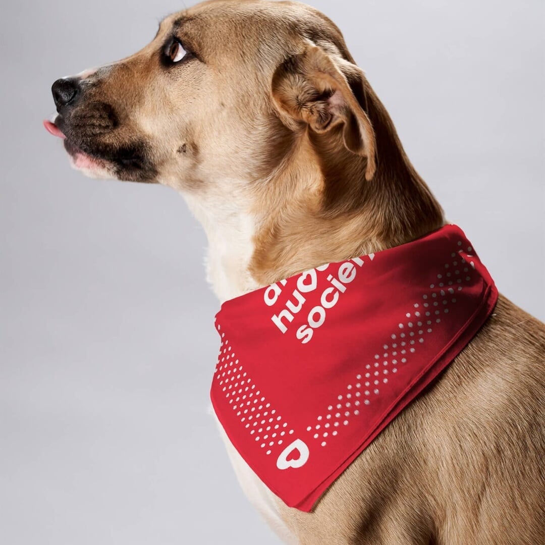 Brand Refresh for Atlanta Humane Society