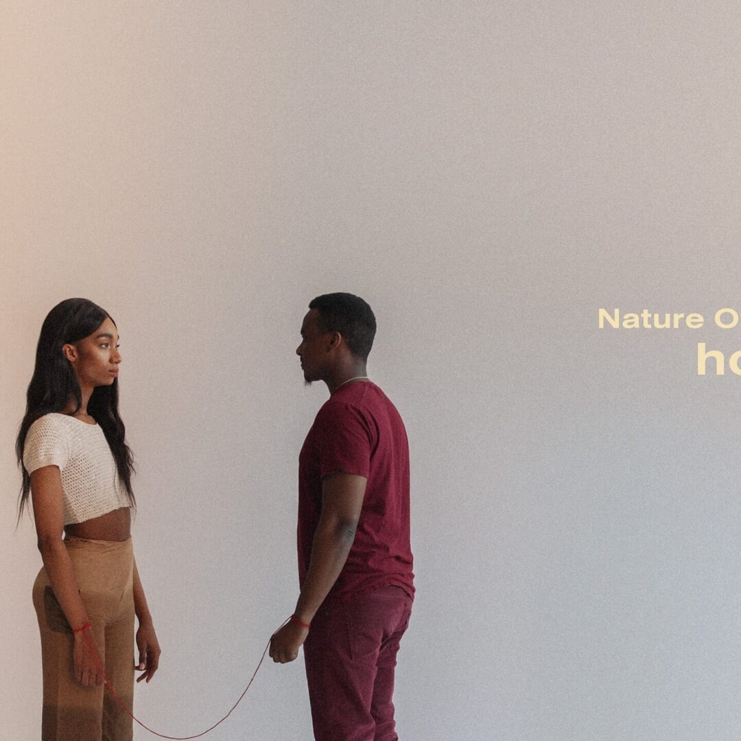 Brand Identity for Noyd