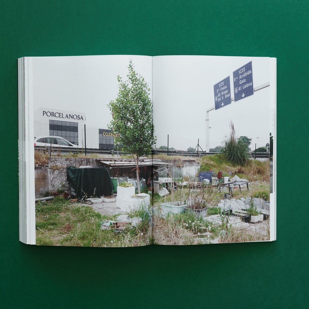Editorial Design for Notes from the Underdog