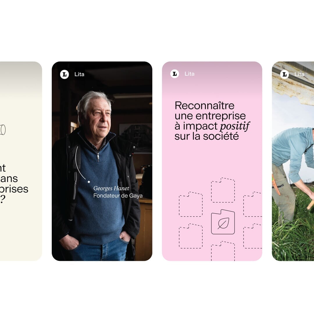 Brand Identity for Impact Investment Platform Lita