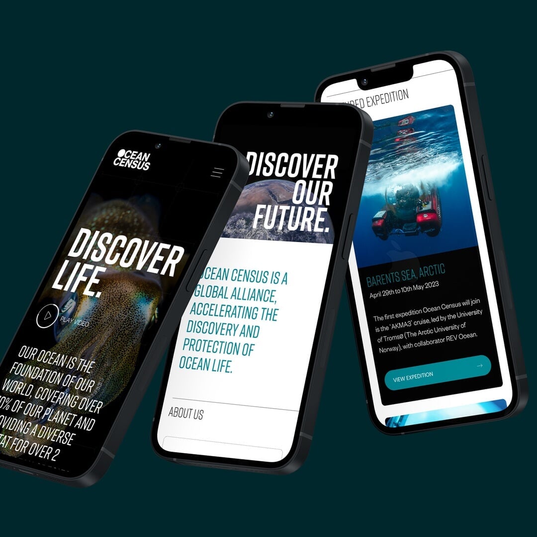 Brand Identity and Website for Ocean Census Initiative