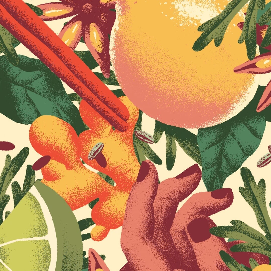 Packaging and Illustration for Neumeister Wermut