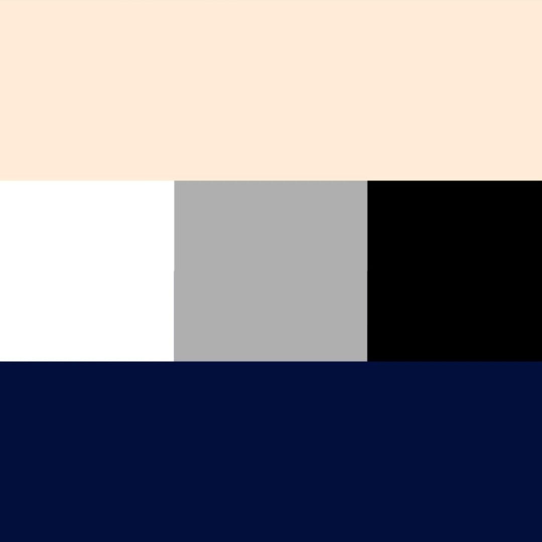 Election Identity for TV 2 Denmark