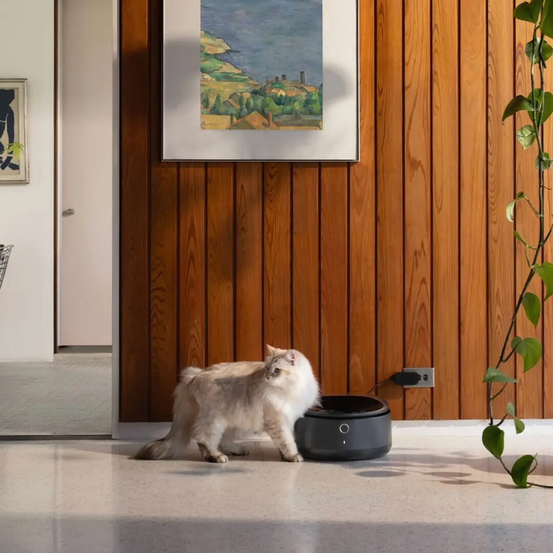 Brand Identity and Campaign for Petlibro