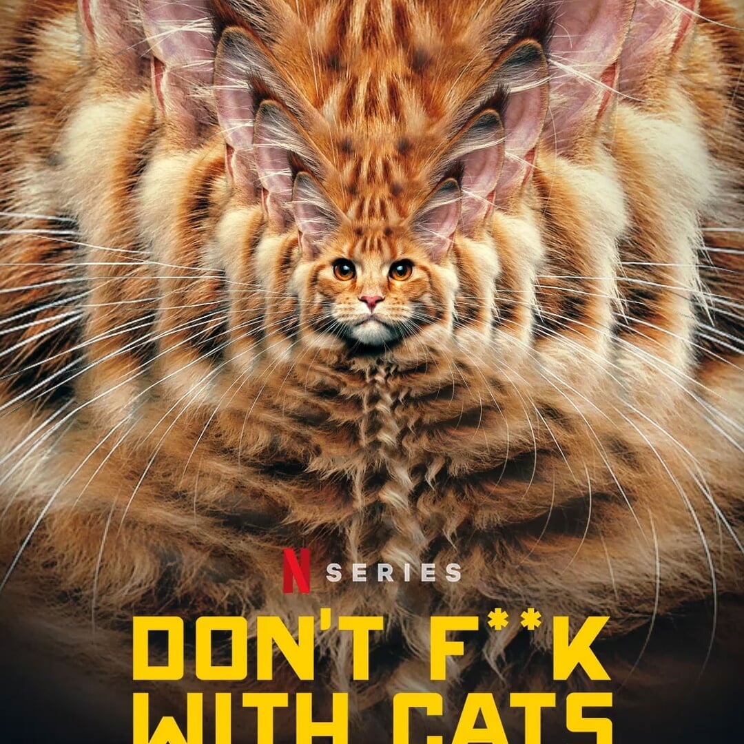 Title Design for Don't F**k with Cats