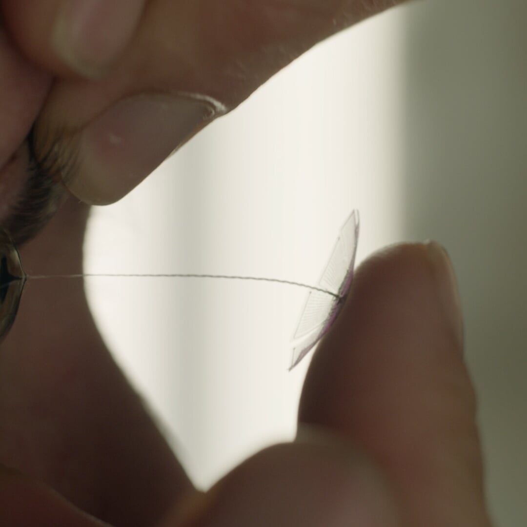 Screen Graphics and VFX for Brave New World