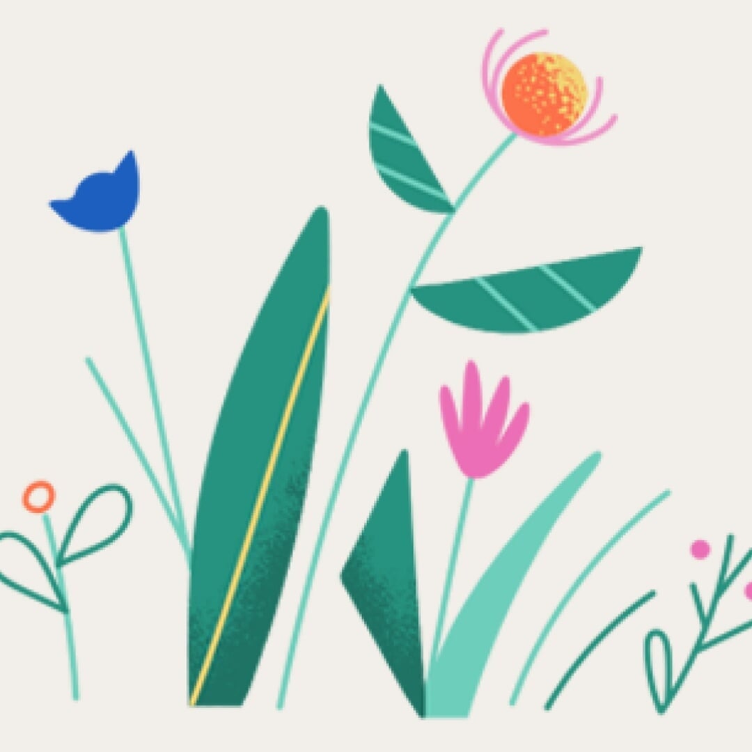 Illustration and Animation System for Facebook