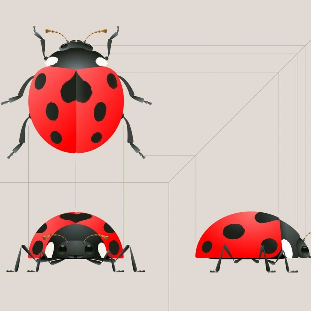 Animated Sustainability Film for Coca-Cola