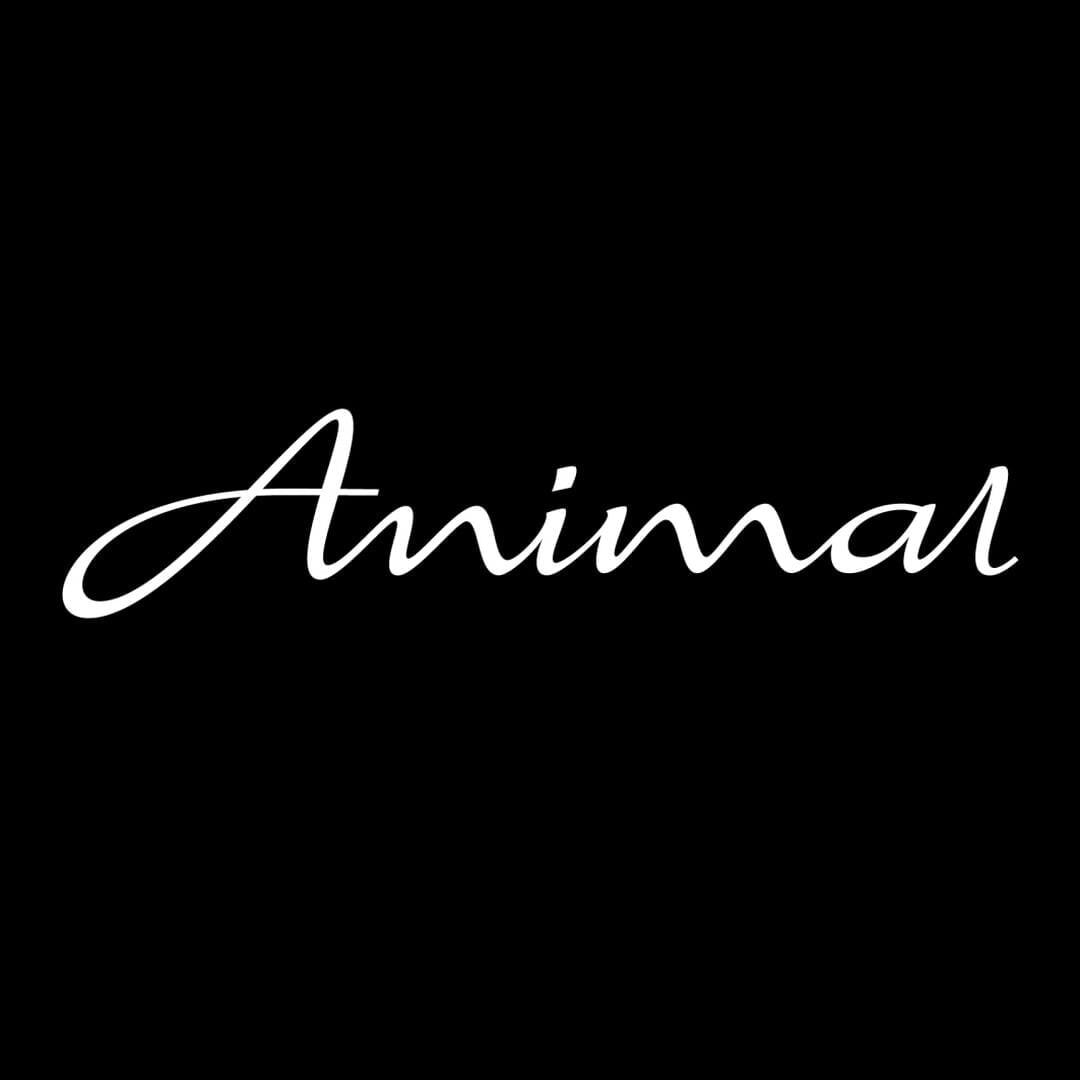 Brand Identity for Animal Handmade