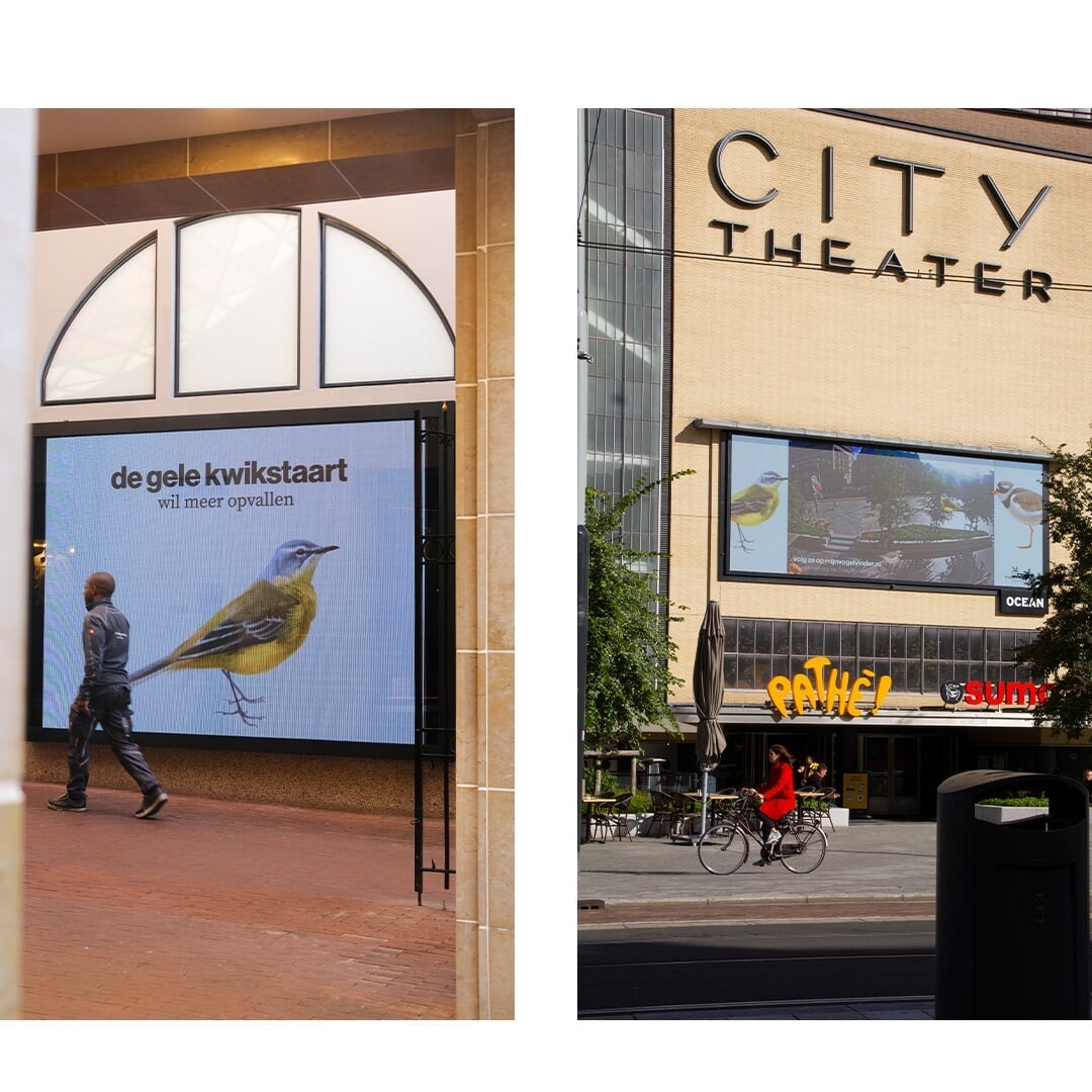 Awareness Campaign for Vogelbescherming Nederland