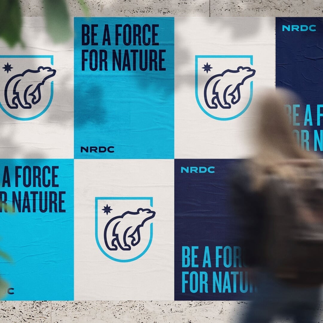 Campaign Identity for the Natural Resources Defense Council