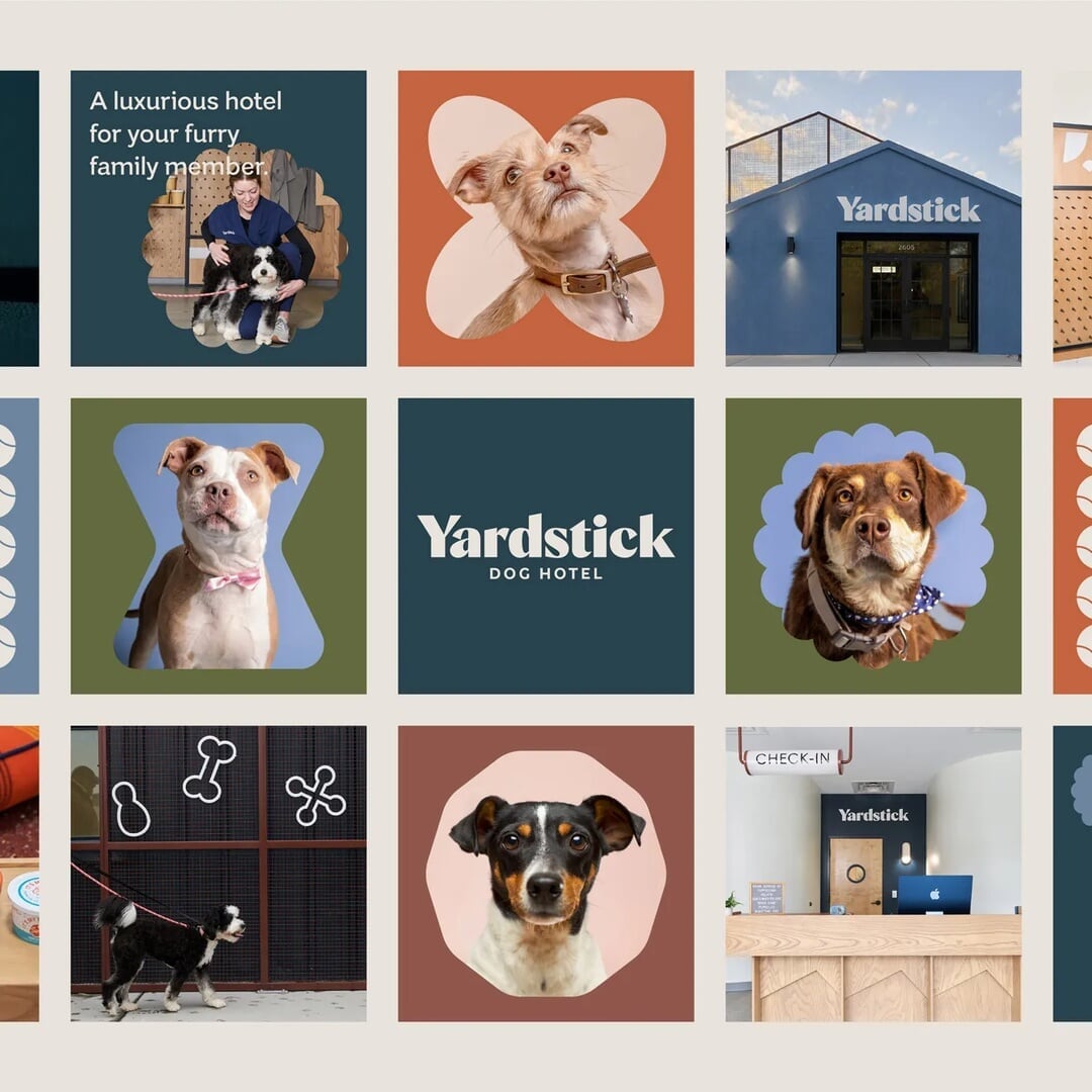Naming and Brand Identity for a Boutique Dog Hotel