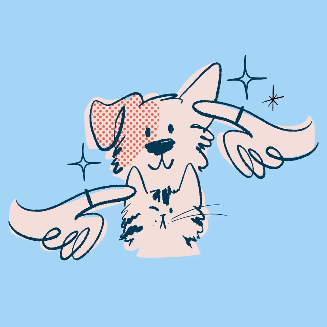 Brand Identity and Packaging for Flydog Pet Grooming Startup