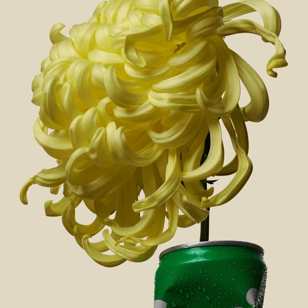 Still Life Photography for Soif