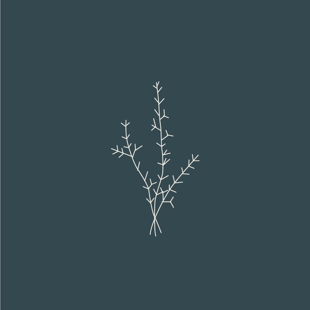 Naming and Branding for a Natural Skincare Company