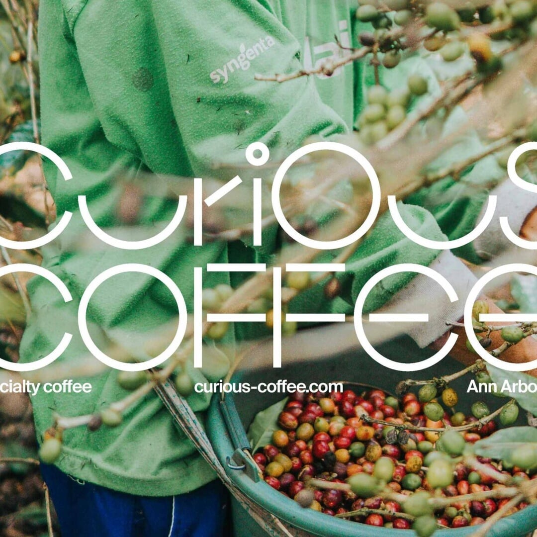 Corporate Design and Animation for Curious Coffee