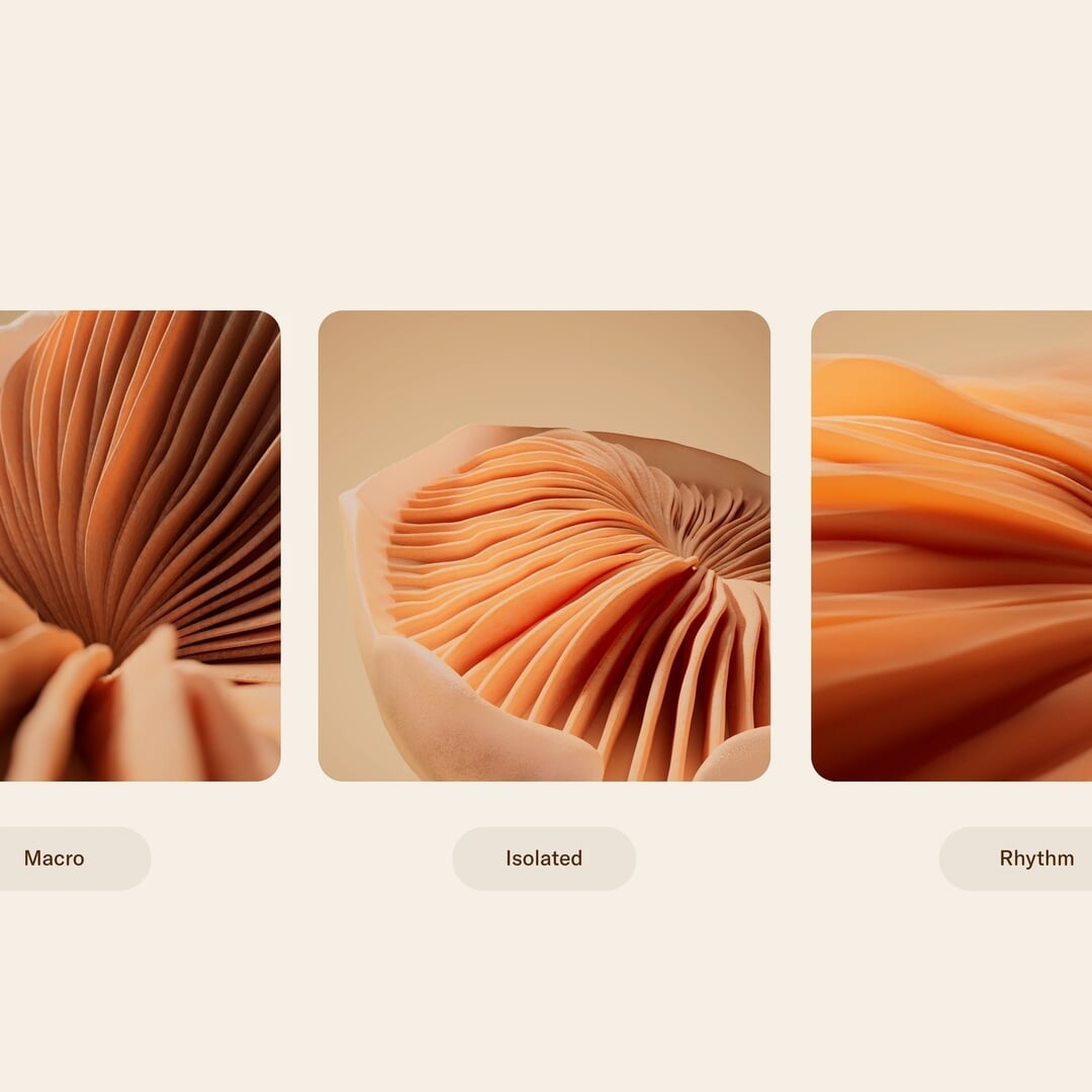 Brand Identity for Inne
