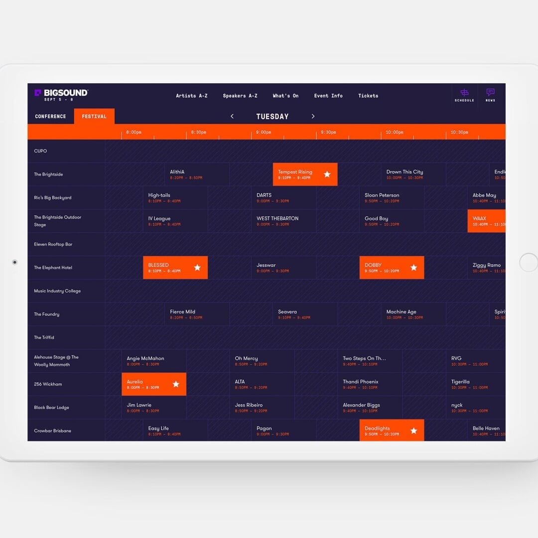 Brand and Website Design for BIGSOUND 2017 Festival