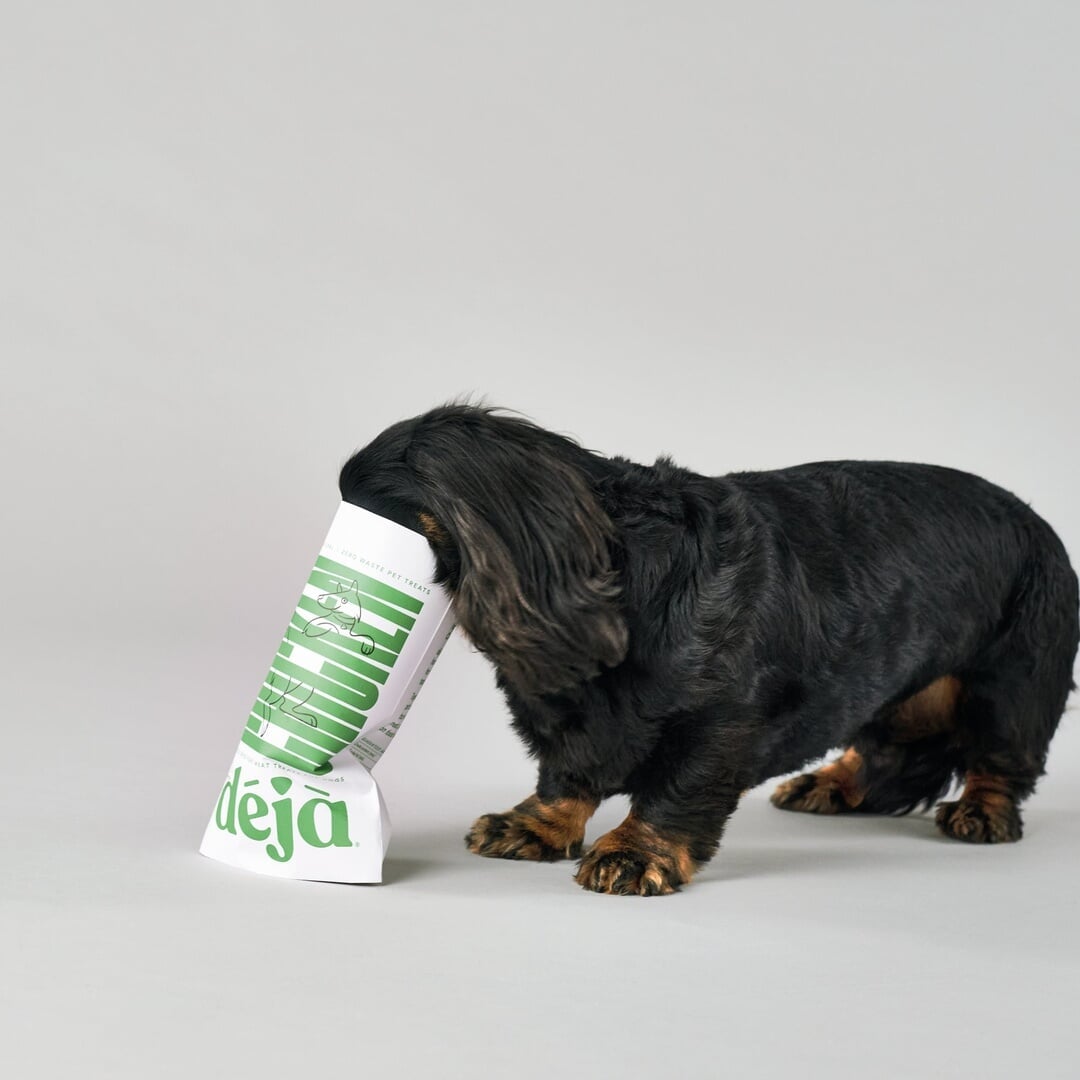 Brand and Packaging Design for a Sustainable Pet Food Company