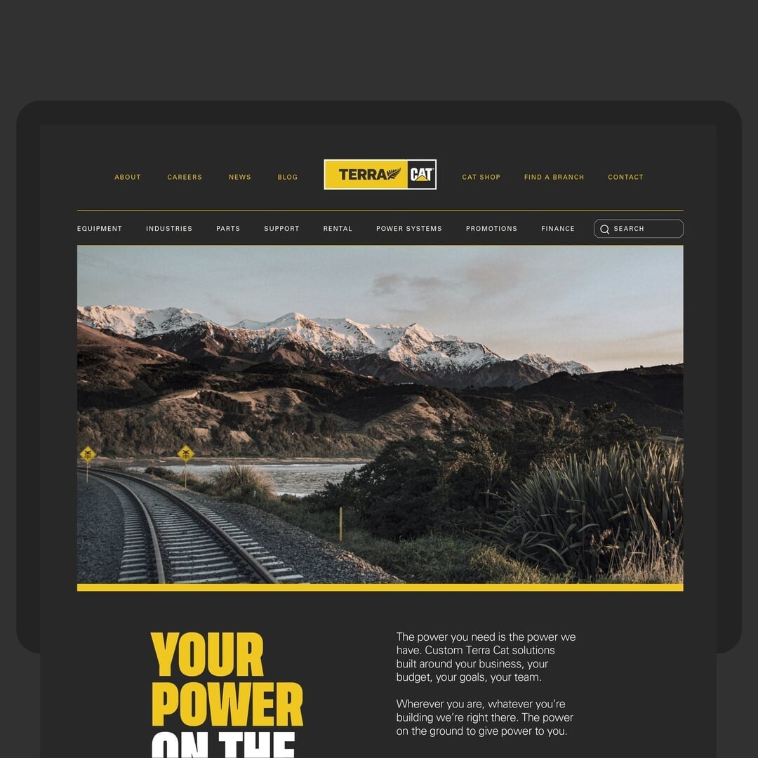 Naming and Brand Identity for Terra Cat