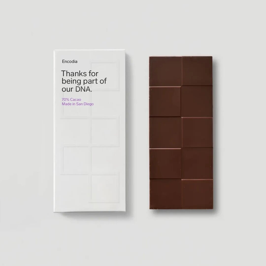 Brand Identity and Environmental Design for Encodia