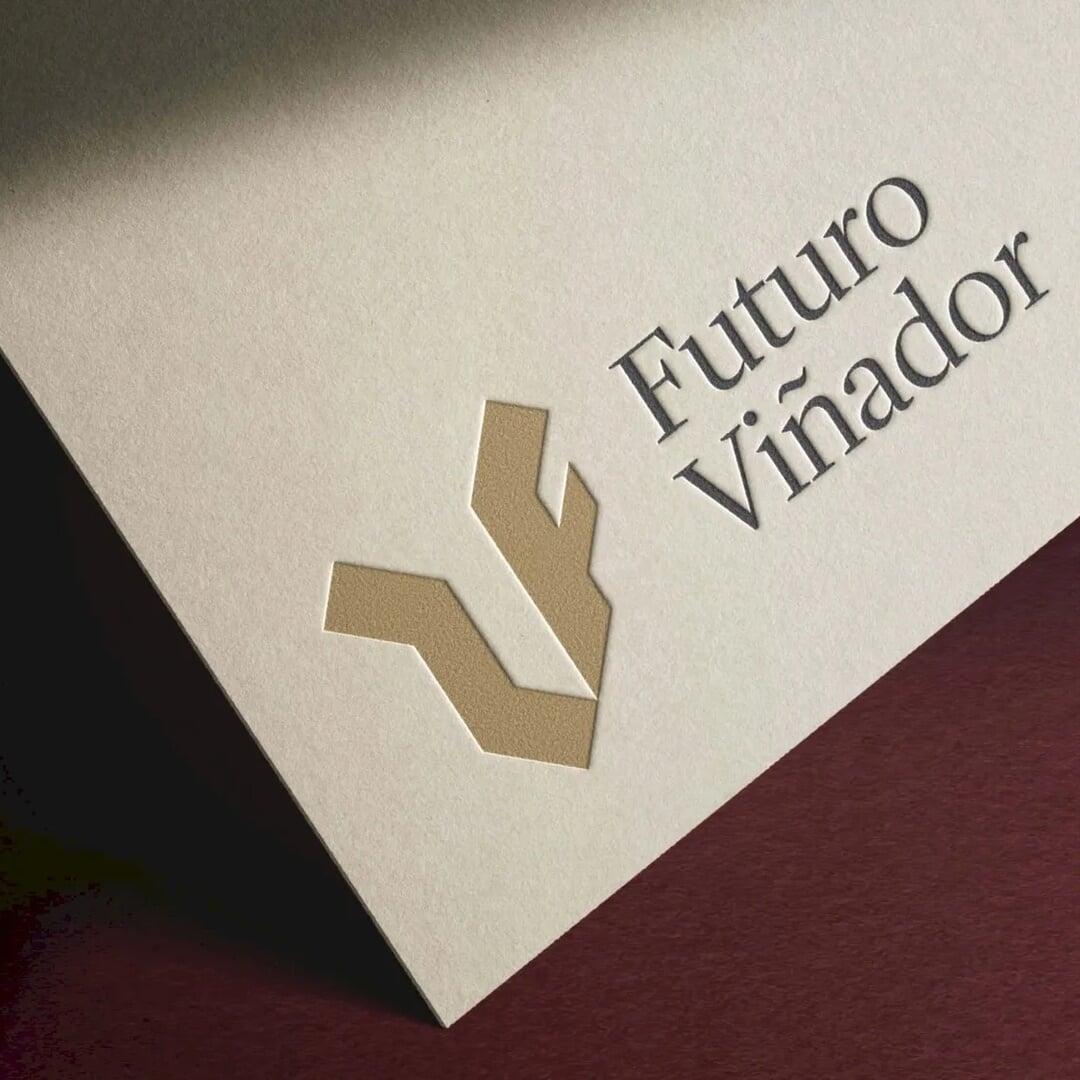 Brand Identity for Futuro Viñador