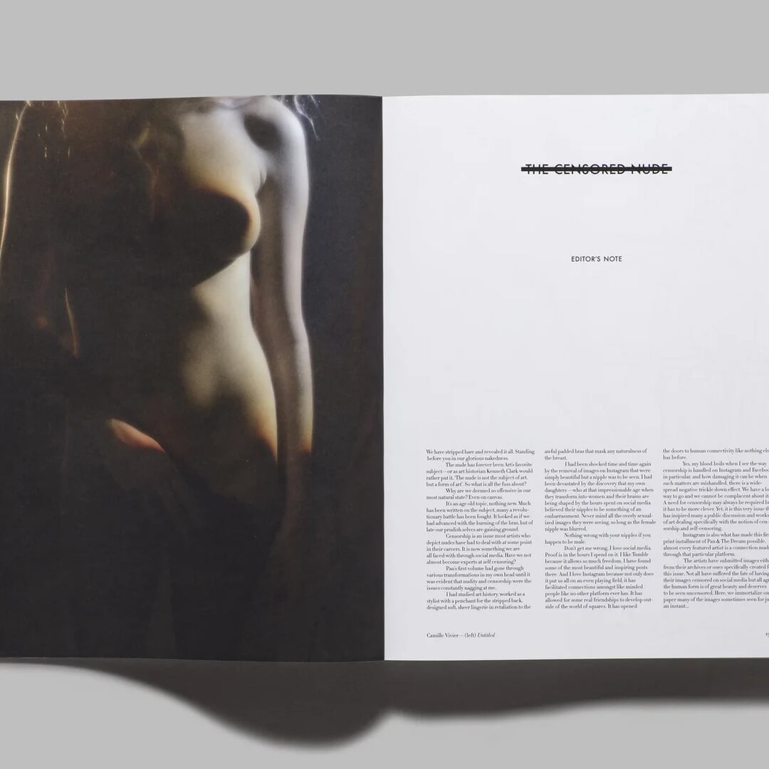 Magazine Design for Pan & the Dream