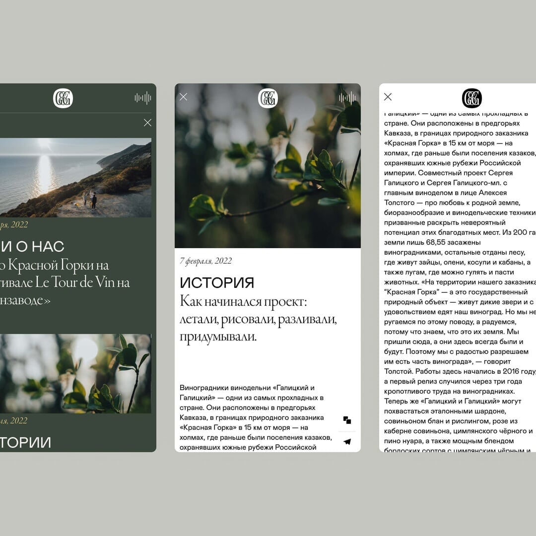 Corporate Website for Galitskiy & Galitskiy Winery