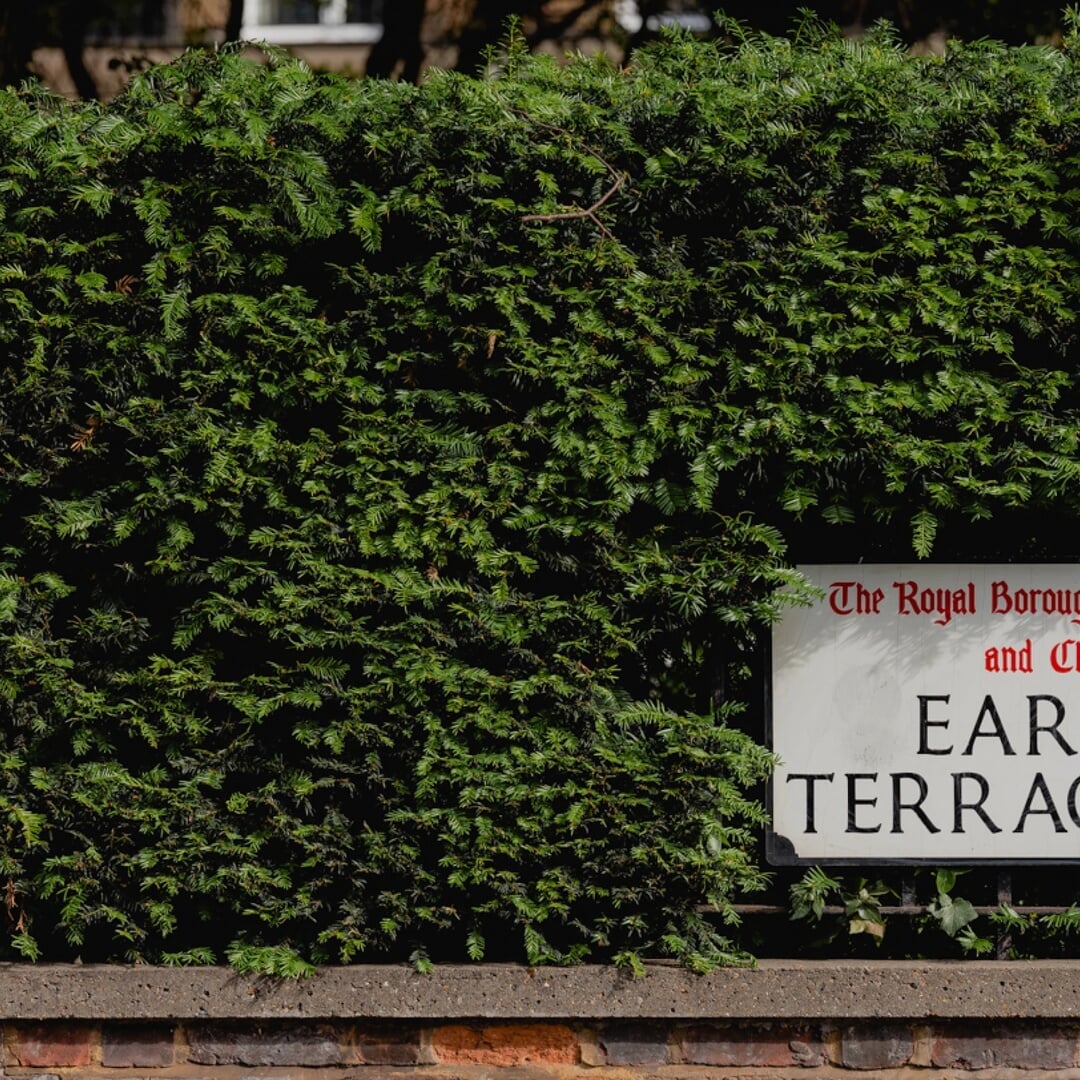 Brand and Website Design for Earls Terrace