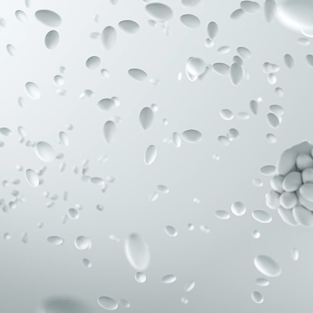 Motion Design for Adidas Ultraboost Campaign