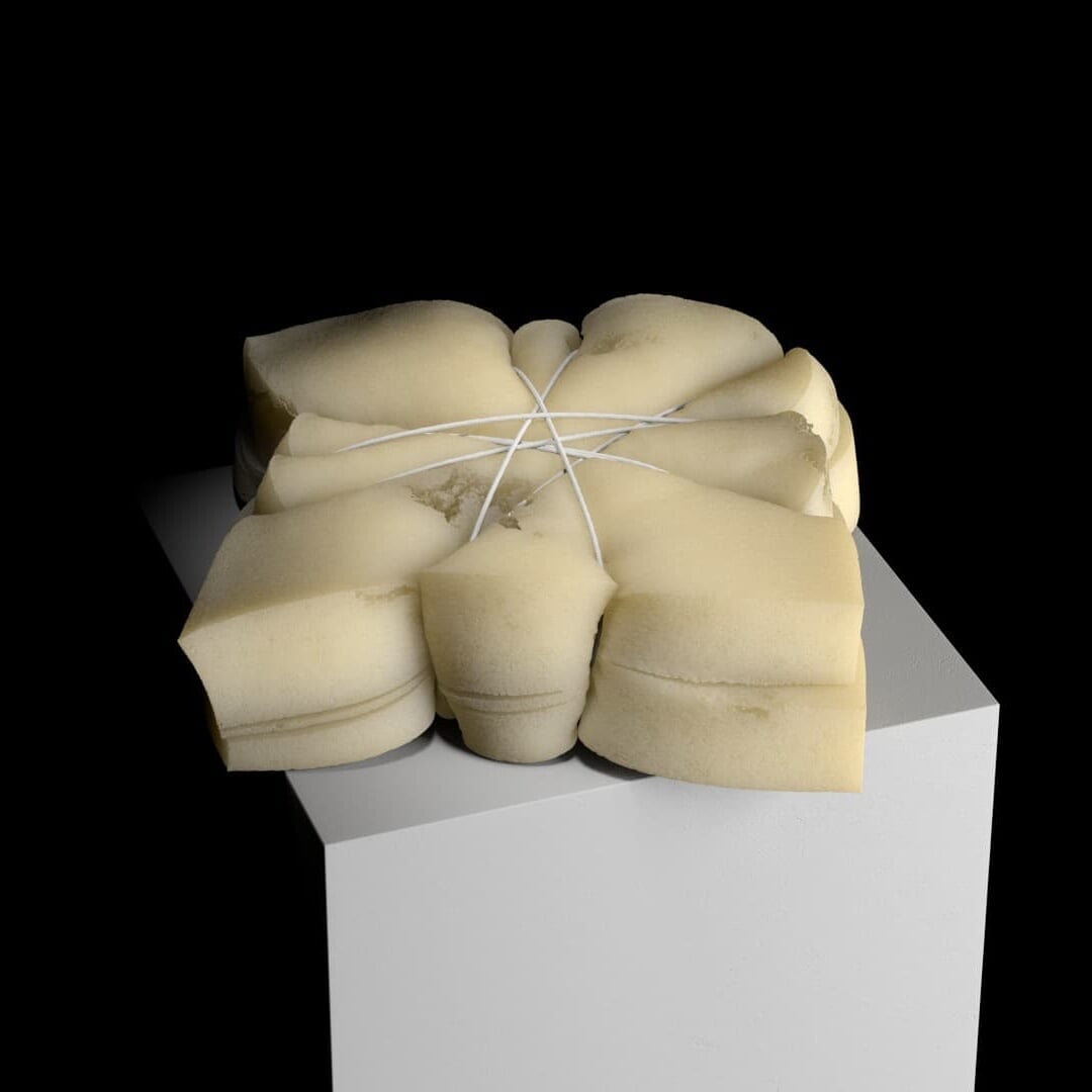 Experimental Motion Study for Foam Material