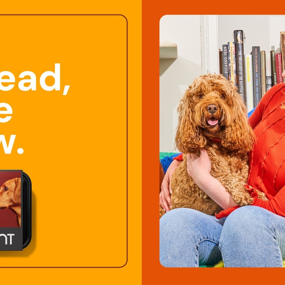 Rebrand for a Raw Pet Food Pioneer