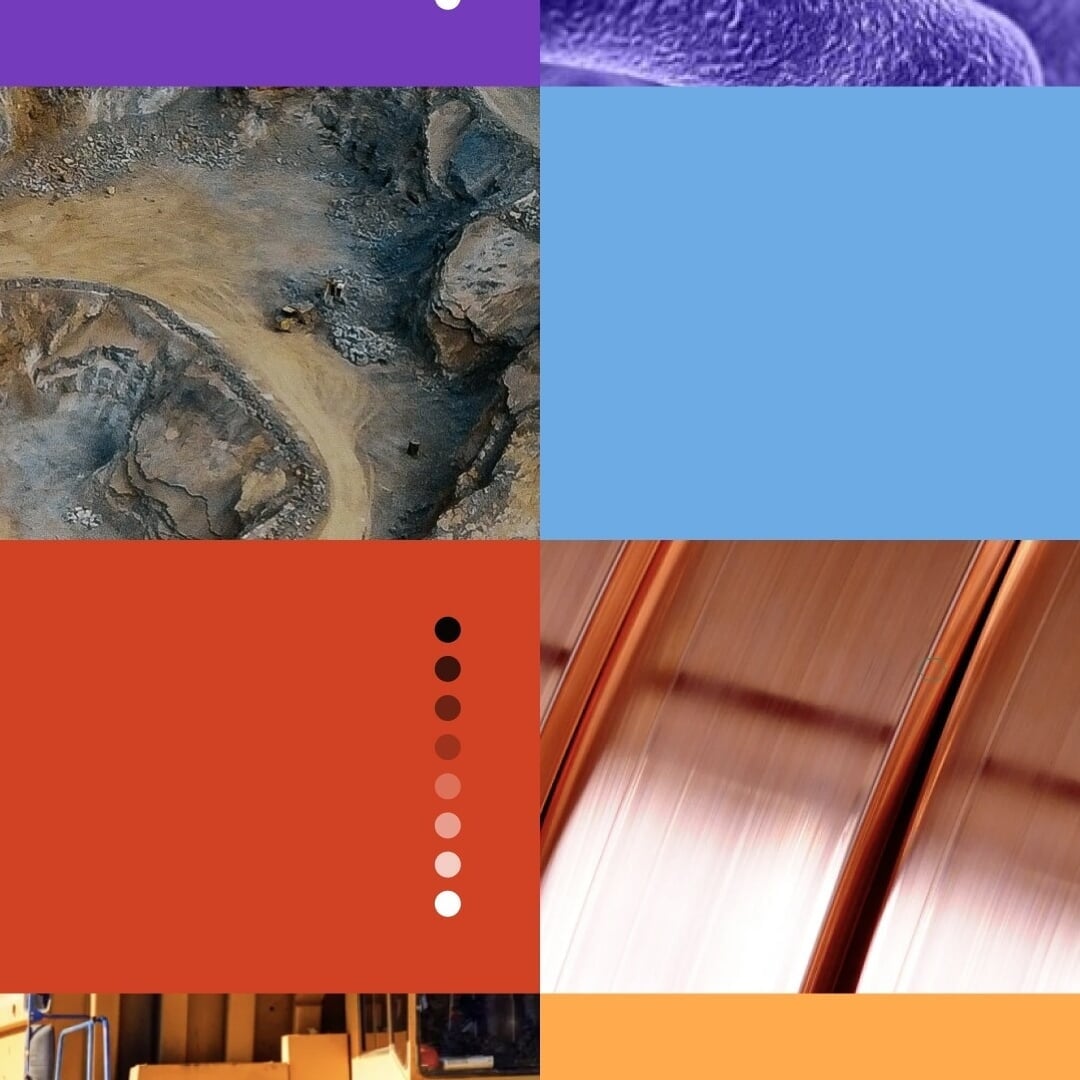 Visual Identity and Website for a Biotechnology Startup