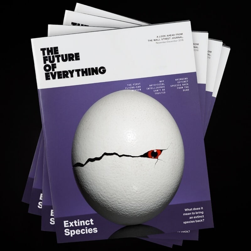 Photo Illustration Series for the Wall Street Journal's Future of Everything