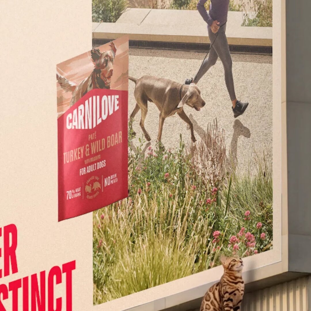 Brand Identity System for Carnilove