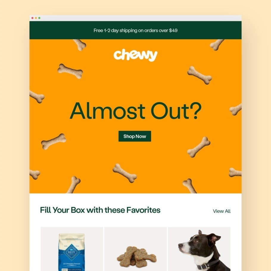 Brand Identity Reboot for Chewy